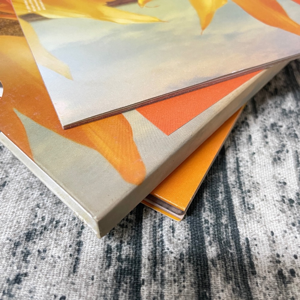 蘇打綠 春日光 簽名 親筆簽名 約7成新 絕版 青峰-細節圖9