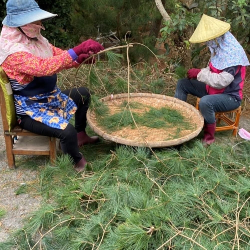 崧大夫-松針樂活茶-松針花草茶-無咖啡因安神安眠茶-細節圖3