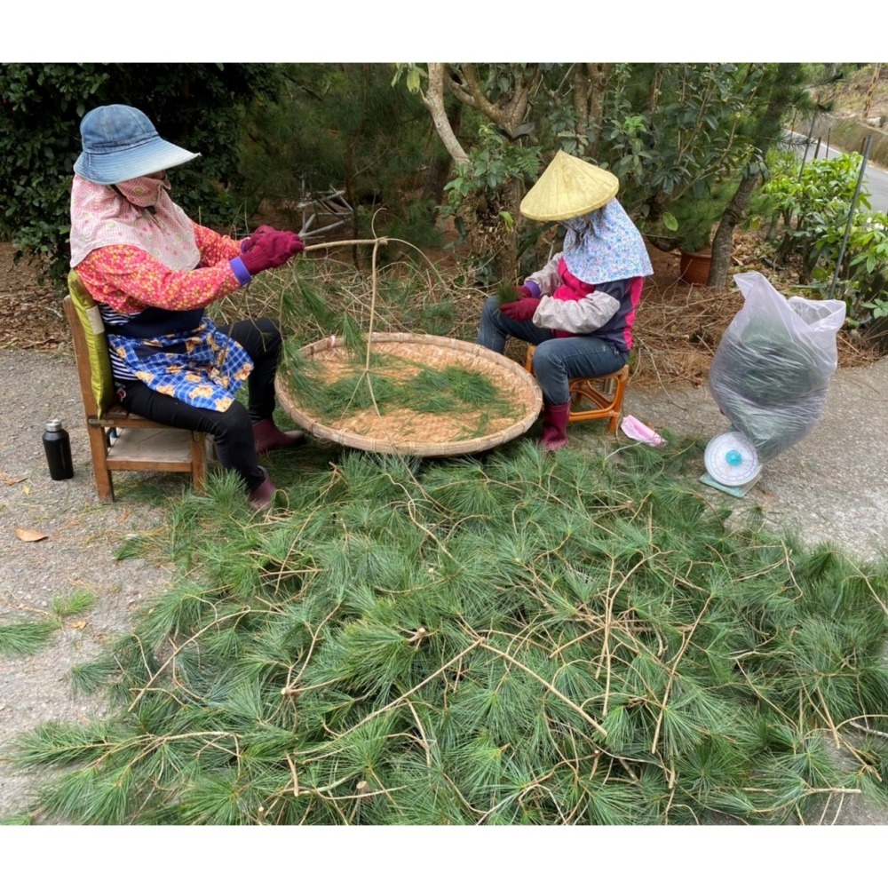 好運旺旺來-五葉松汁森林飲-鳳梨口味-細節圖5