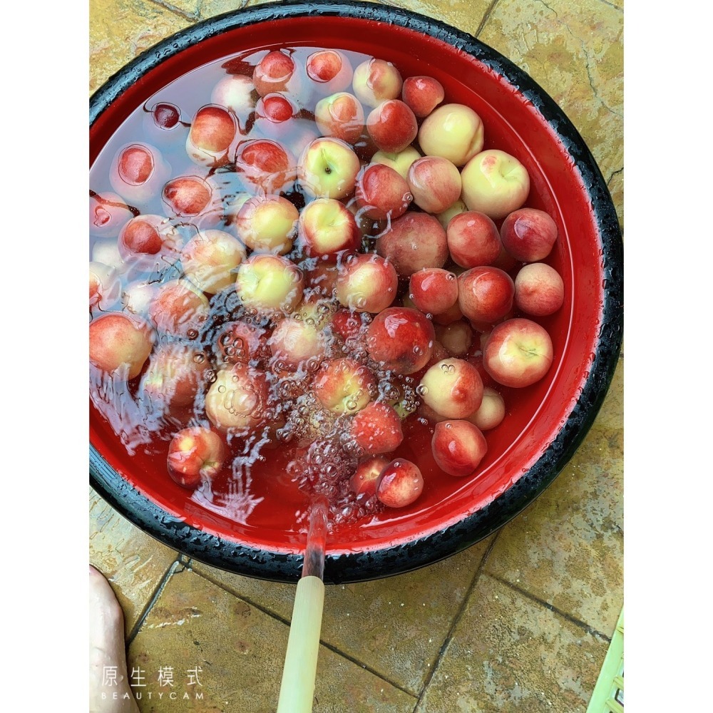 桃花朵朵開戀愛好滋味-五葉松汁森林飲-蜜桃口味-細節圖3