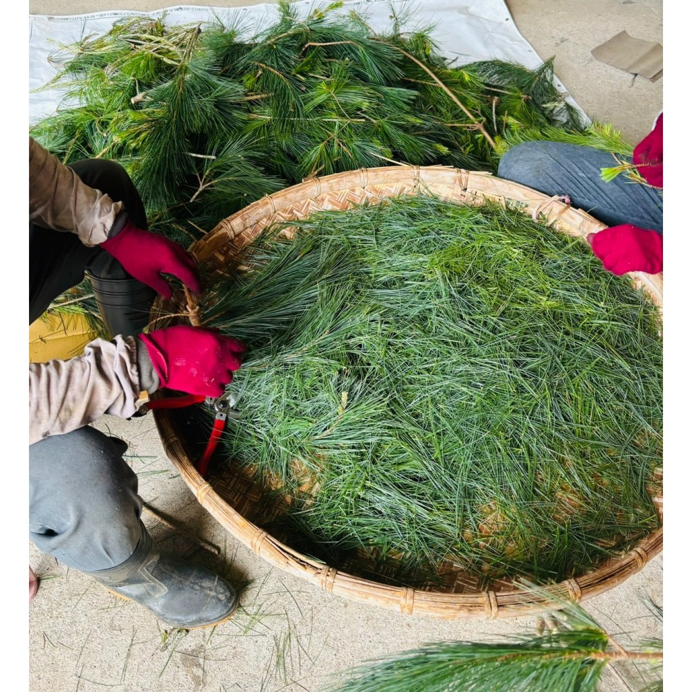 桃花朵朵開戀愛好滋味-五葉松汁森林飲-蜜桃口味-細節圖6