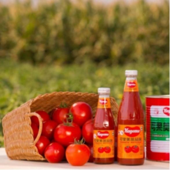 【蓉耀食品】可果美 番茄醬 700g/瓶-細節圖5