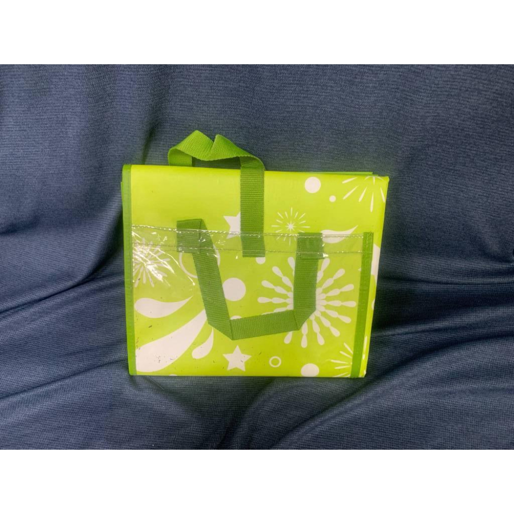 Zespri 奇異果野餐墊 110x142cm kiwi 限量 奇異果-細節圖2