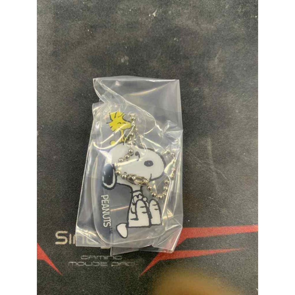 藏壽司史努比扭蛋 壓克力吊飾-查理布朗&史努比-細節圖2