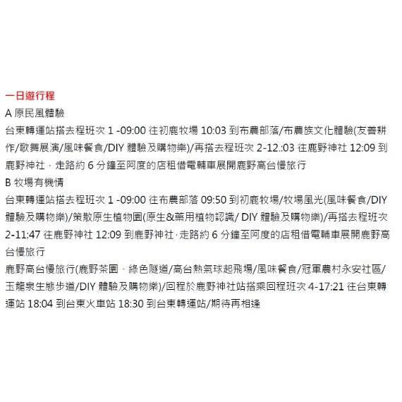 台灣好行  鹿野慢漫遊套票 一日遊程x小資經濟型-細節圖2