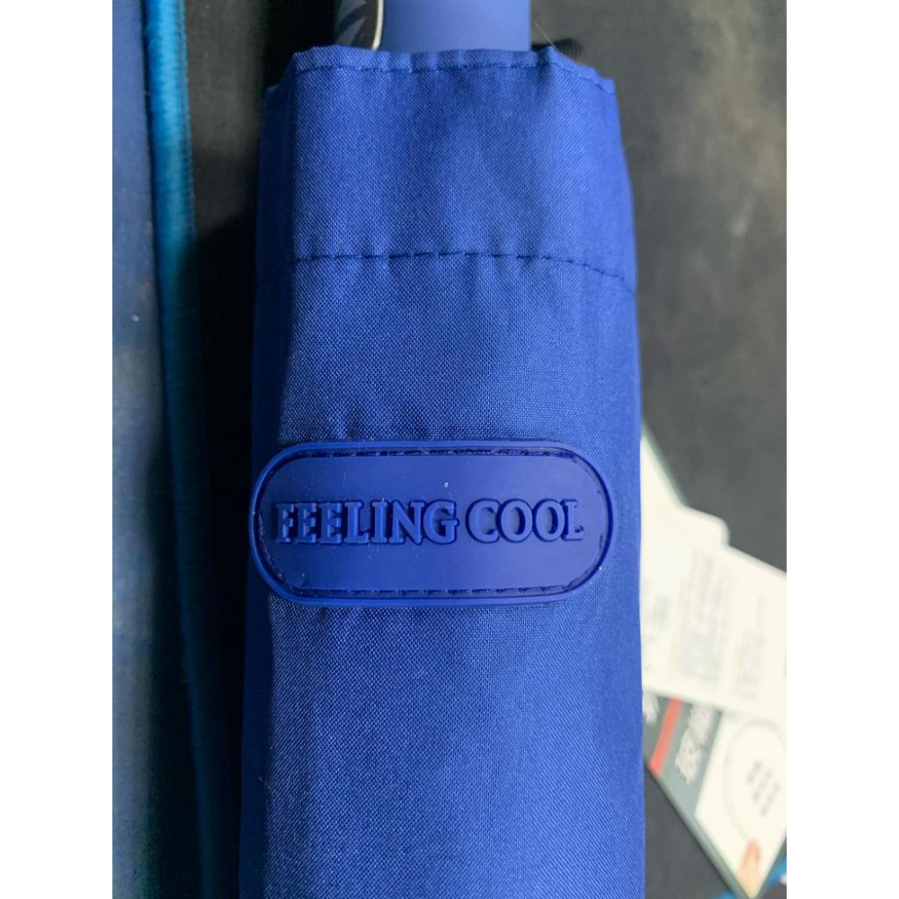 Feeling Cool 我們去旅行吧/特大自動開收傘/27吋大傘面/自動傘/旅行傘/大傘-細節圖2