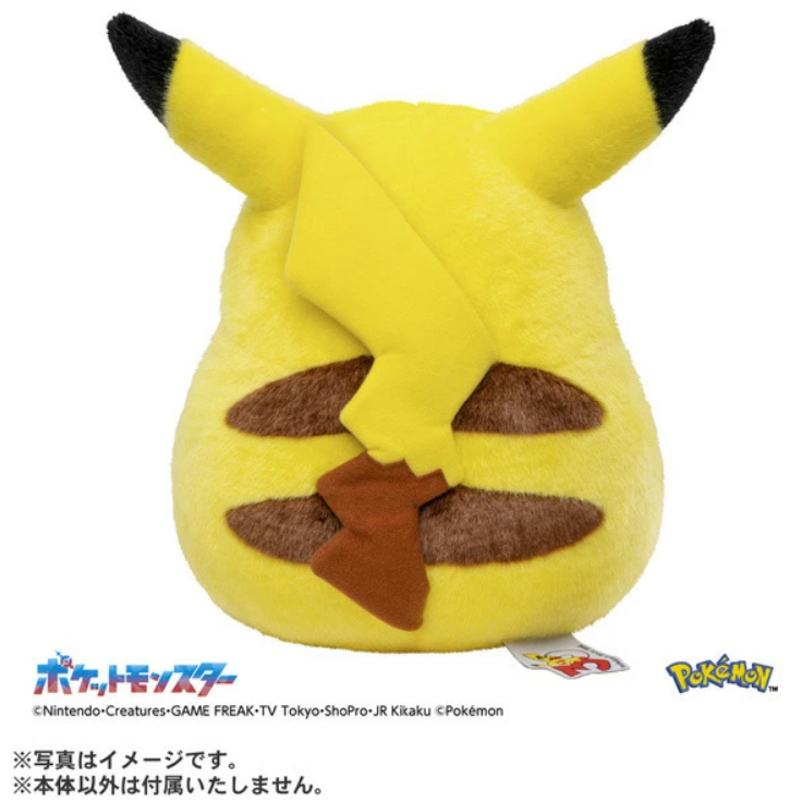 阿勝拍賣 TAKARA TOMY 寶可夢30週年紀念 歡迎回來! 皮卡丘1/1 PC08600-細節圖2