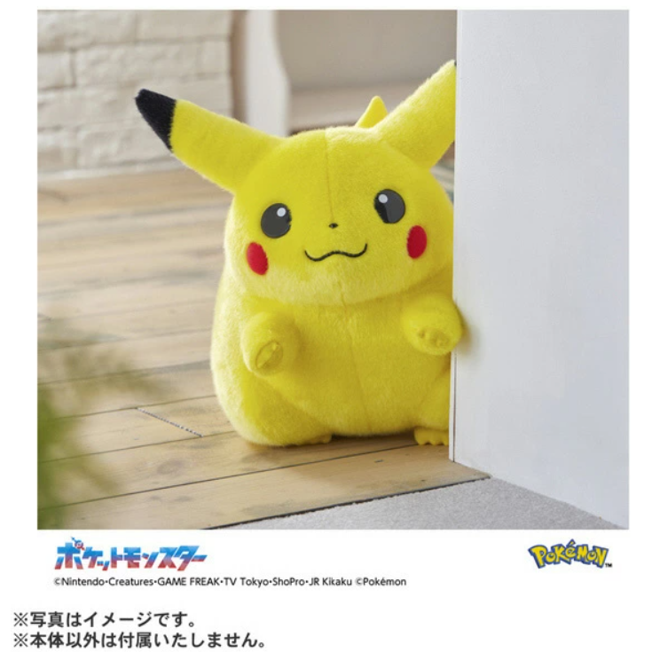 阿勝拍賣 TAKARA TOMY 寶可夢30週年紀念 歡迎回來! 皮卡丘1/1 PC08600-細節圖3