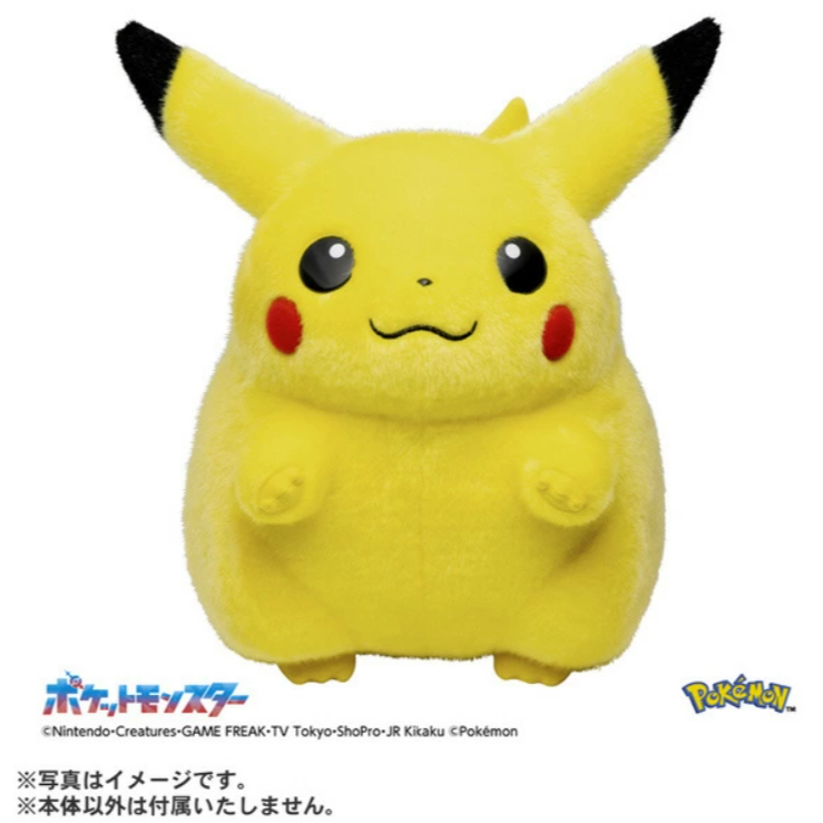 阿勝拍賣 TAKARA TOMY 寶可夢30週年紀念 歡迎回來! 皮卡丘1/1 PC08600-細節圖5