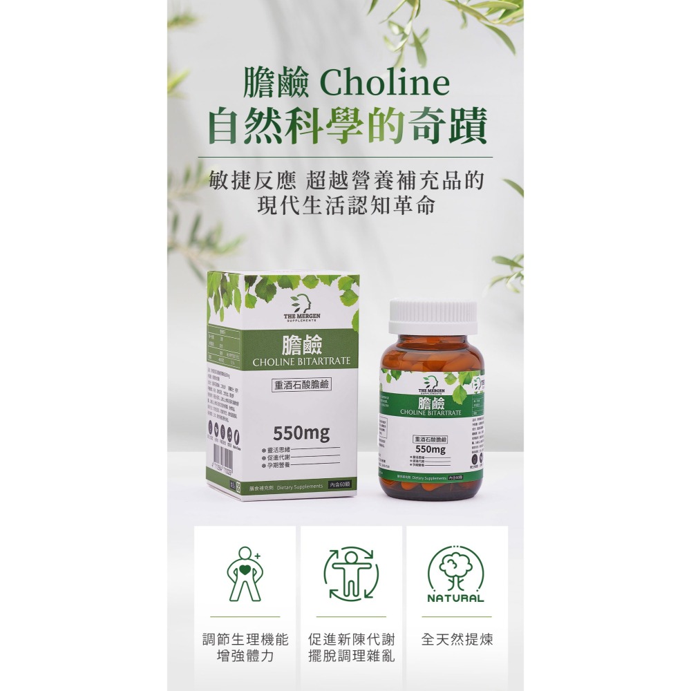 Mergen默根 - 重酒石酸膽鹼550mg 高效吸收、素食、孕婦、老年人、上班族、學生首選 (60顆素食膠囊/瓶)-細節圖2