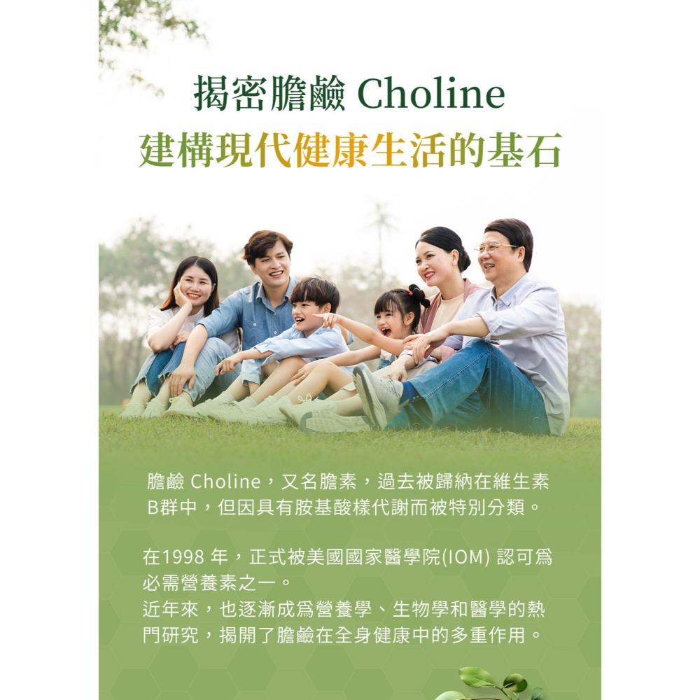 Mergen默根 - 重酒石酸膽鹼550mg 高效吸收、素食、孕婦、老年人、上班族、學生首選 (60顆素食膠囊/瓶)-細節圖4