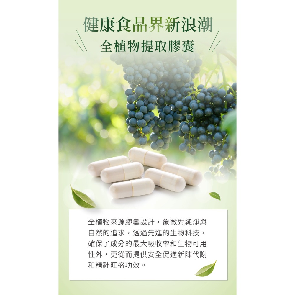 Mergen默根 - 重酒石酸膽鹼550mg 高效吸收、素食、孕婦、老年人、上班族、學生首選 (60顆素食膠囊/瓶)-細節圖6