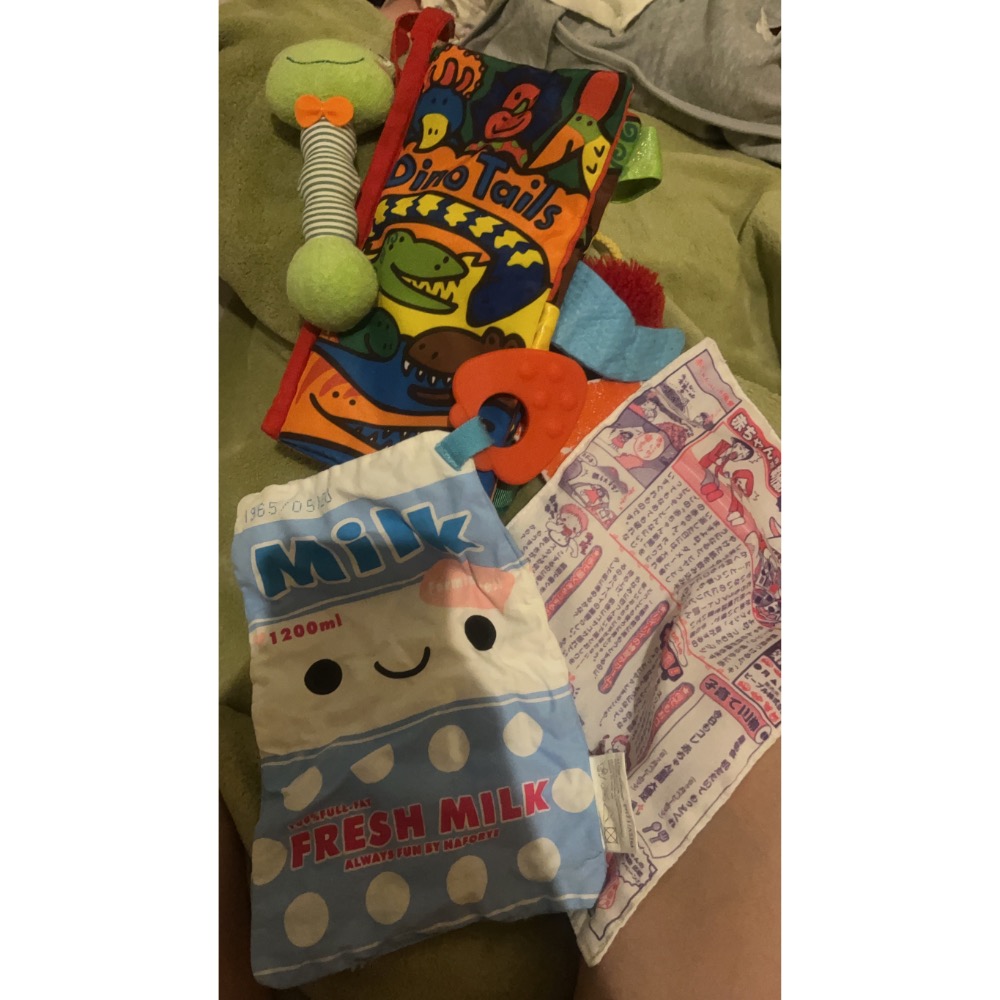 全部$250袋子跟哺乳衣布書-細節圖6