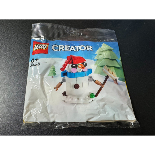 ★董仔樂高★ LEGO 30645 創意 CREATOR 雪人 polybag 全新現貨