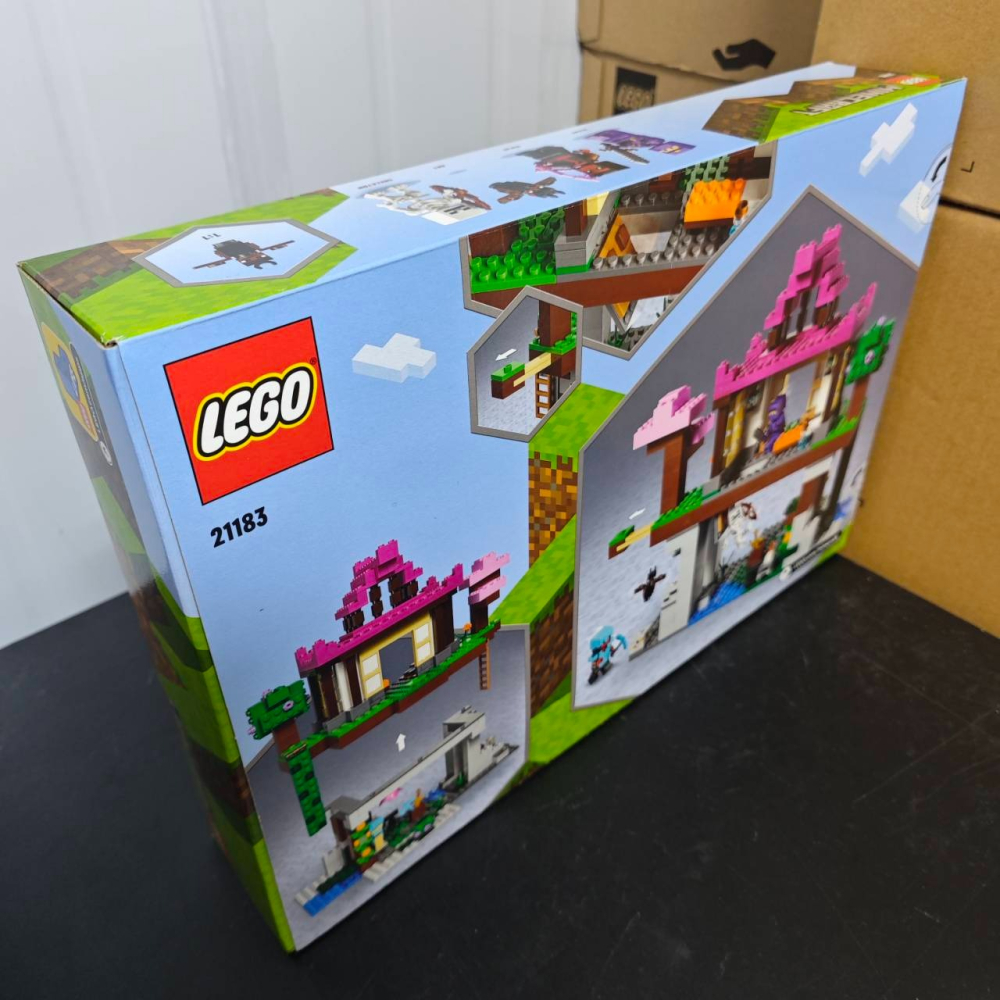 ★董仔樂高★ LEGO 21183 創世神 Minecraft 訓練場 全新現貨-細節圖2