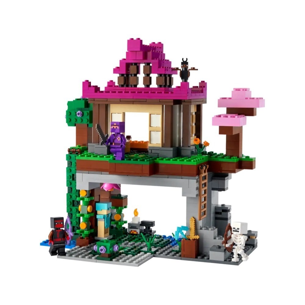 ★董仔樂高★ LEGO 21183 創世神 Minecraft 訓練場 全新現貨-細節圖3