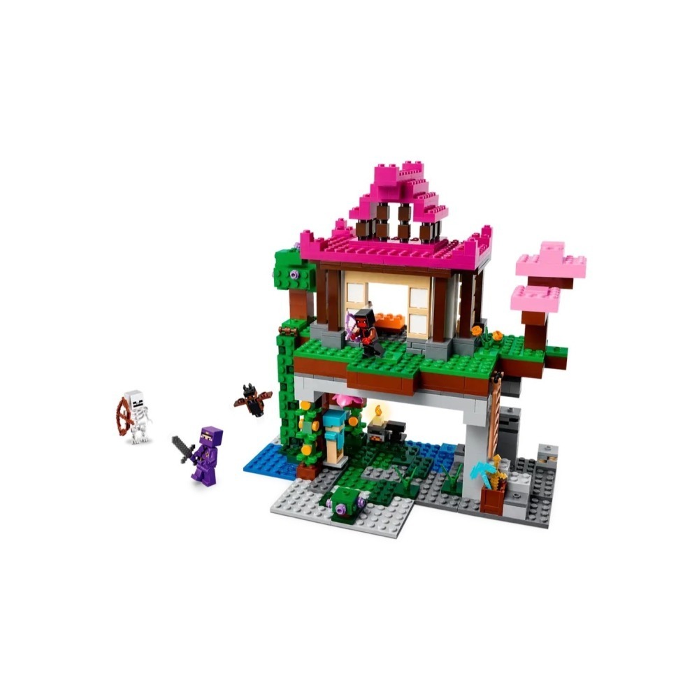 ★董仔樂高★ LEGO 21183 創世神 Minecraft 訓練場 全新現貨-細節圖4