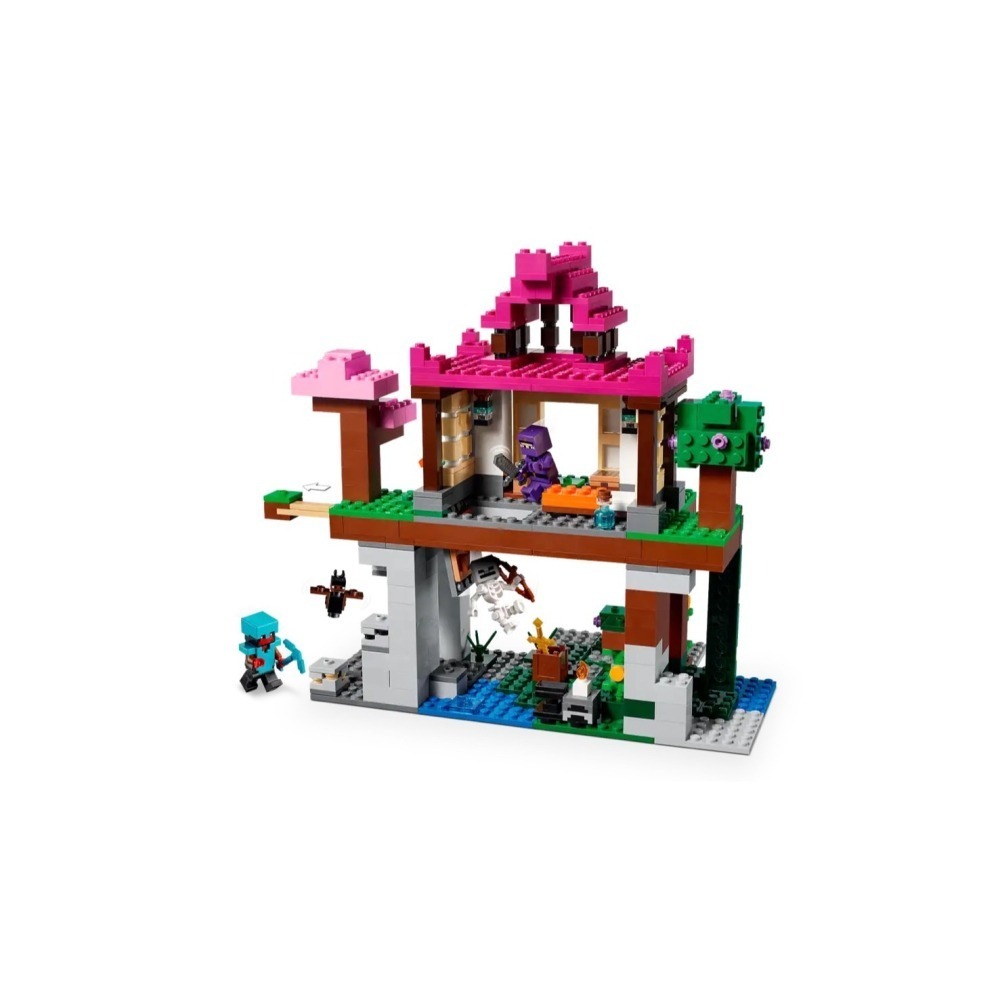 ★董仔樂高★ LEGO 21183 創世神 Minecraft 訓練場 全新現貨-細節圖5