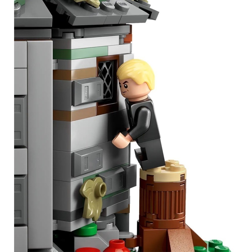 ★董仔樂高★ LEGO 76428 哈利波特 Harry Potter 海格小屋 全新現貨-細節圖8