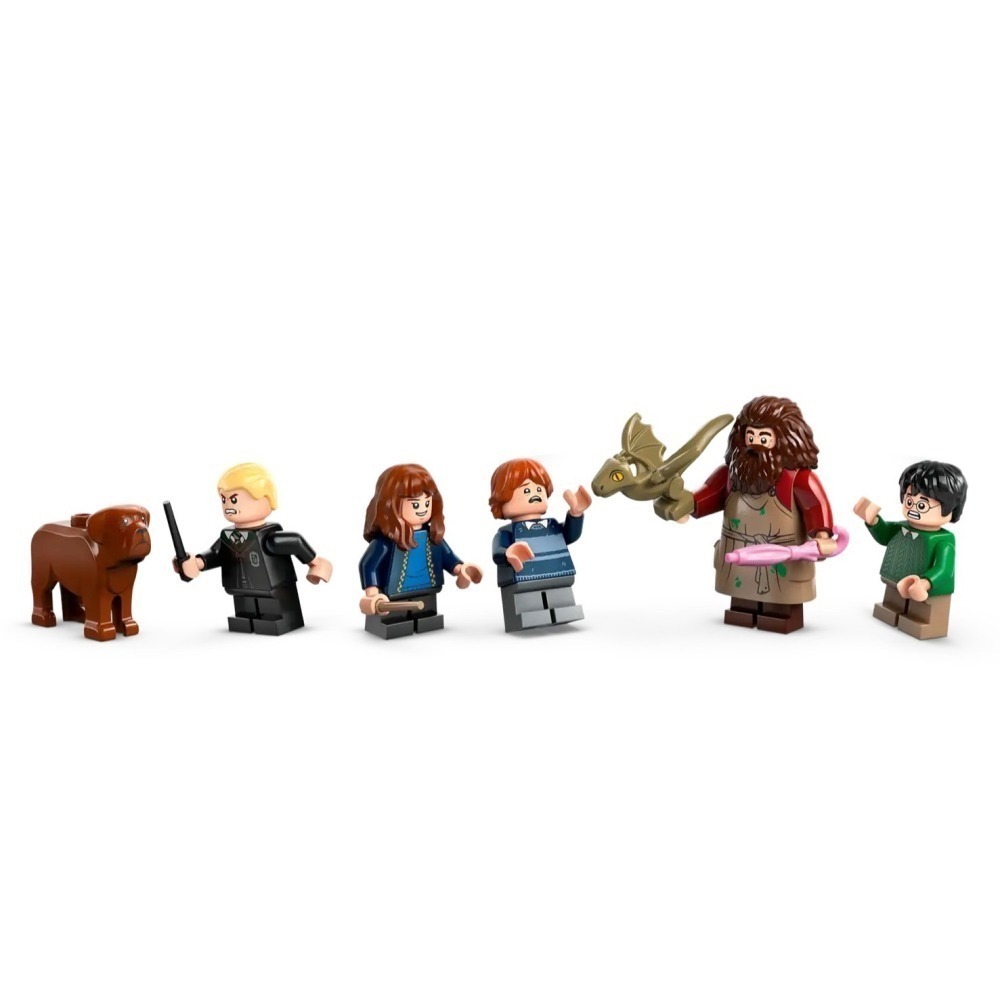 ★董仔樂高★ LEGO 76428 哈利波特 Harry Potter 海格小屋 全新現貨-細節圖9