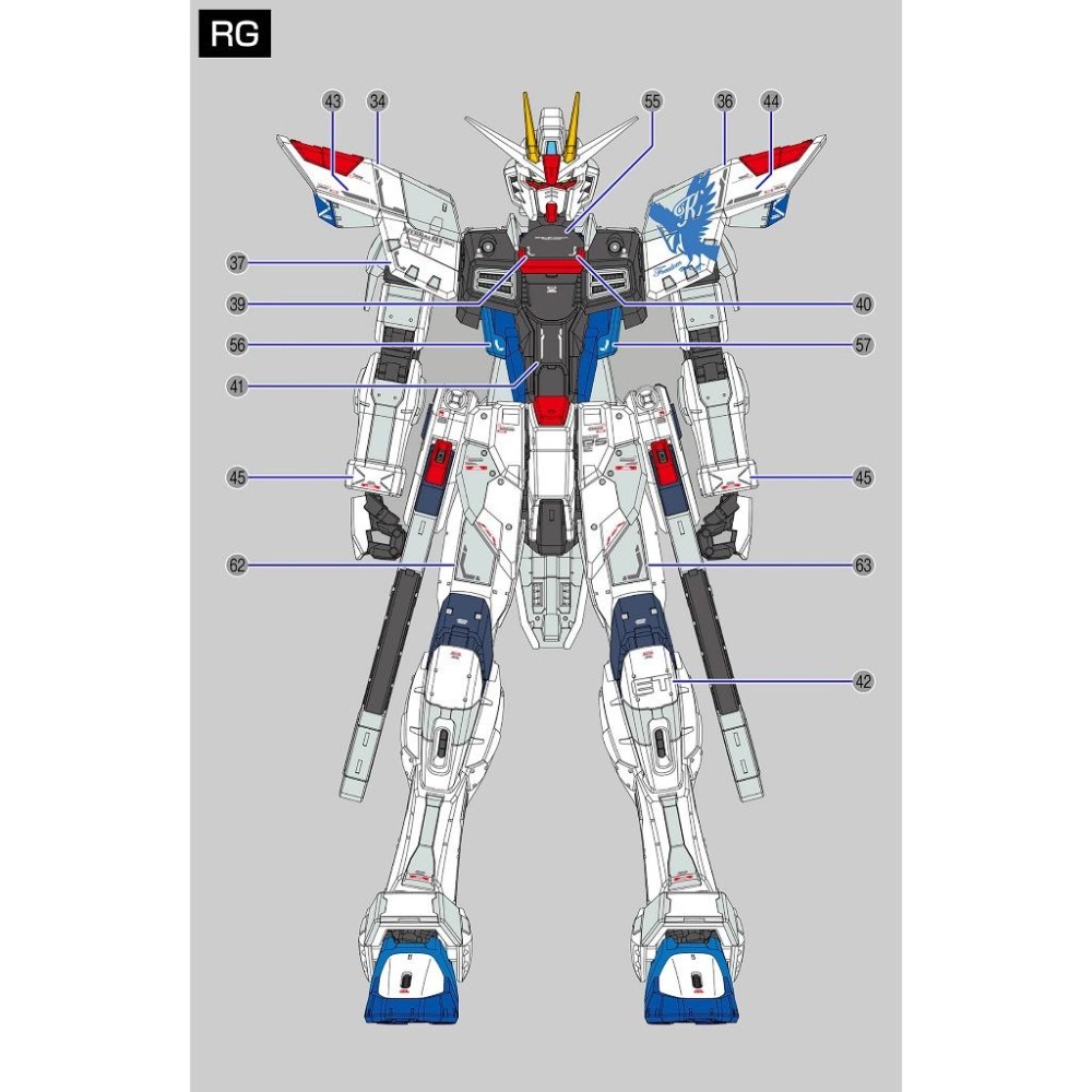 [BUOCO] EVO RG-05 RG 自由鋼彈 + Ver.GCP 3週年紀念版 專用螢光水貼 / 上海立像版-細節圖2