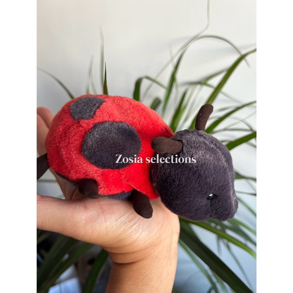 🇫🇷法國直送 Jellycat Layla Ladybird 小瓢蟲 退休款 絕版款 娃娃-細節圖2