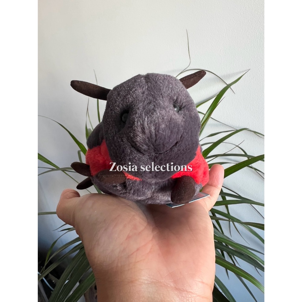 🇫🇷法國直送 Jellycat Layla Ladybird 小瓢蟲 退休款 絕版款 娃娃-細節圖3