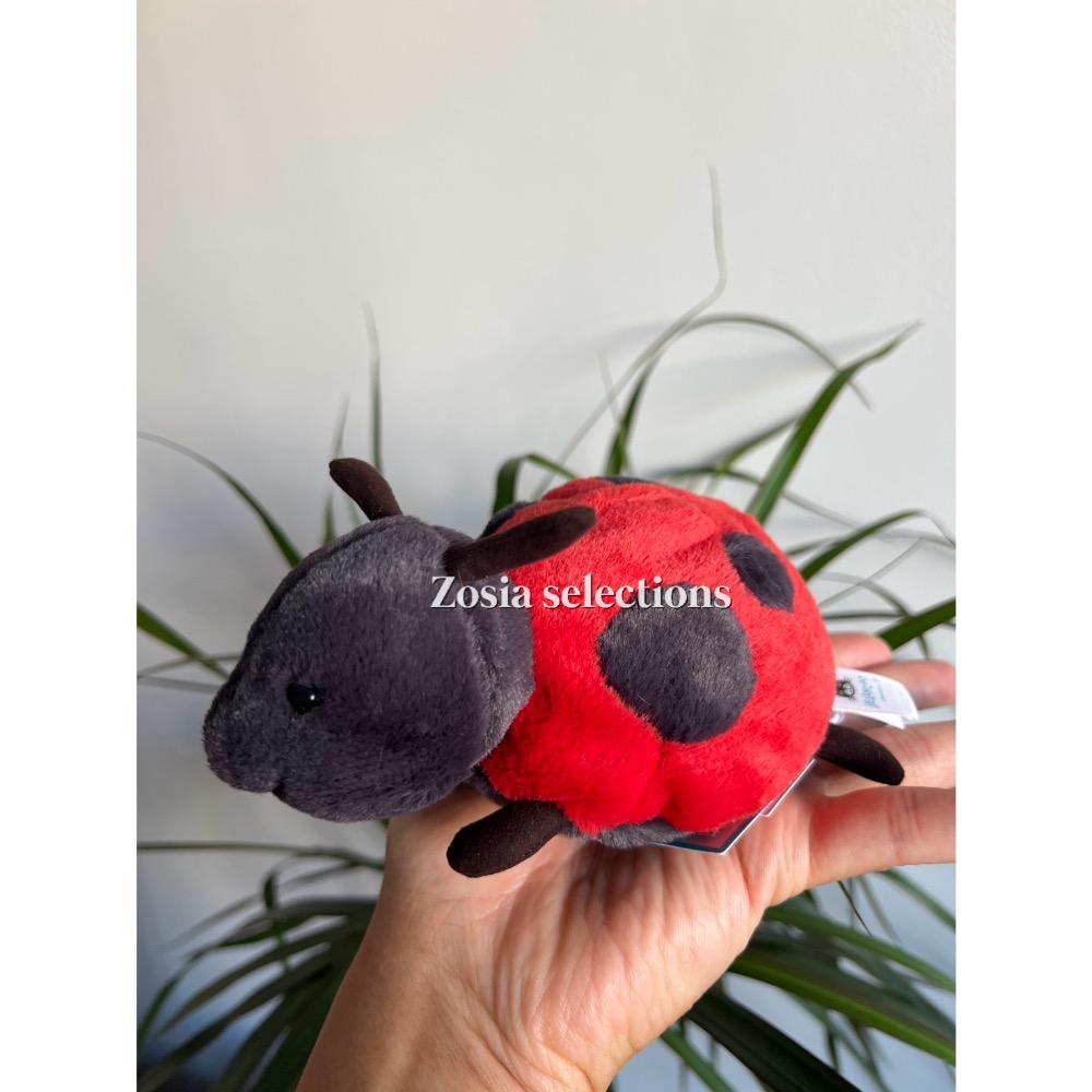 🇫🇷法國直送 Jellycat Layla Ladybird 小瓢蟲 退休款 絕版款 娃娃-細節圖4
