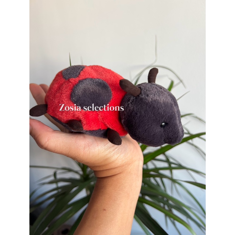 🇫🇷法國直送 Jellycat Layla Ladybird 小瓢蟲 退休款 絕版款 娃娃-細節圖5