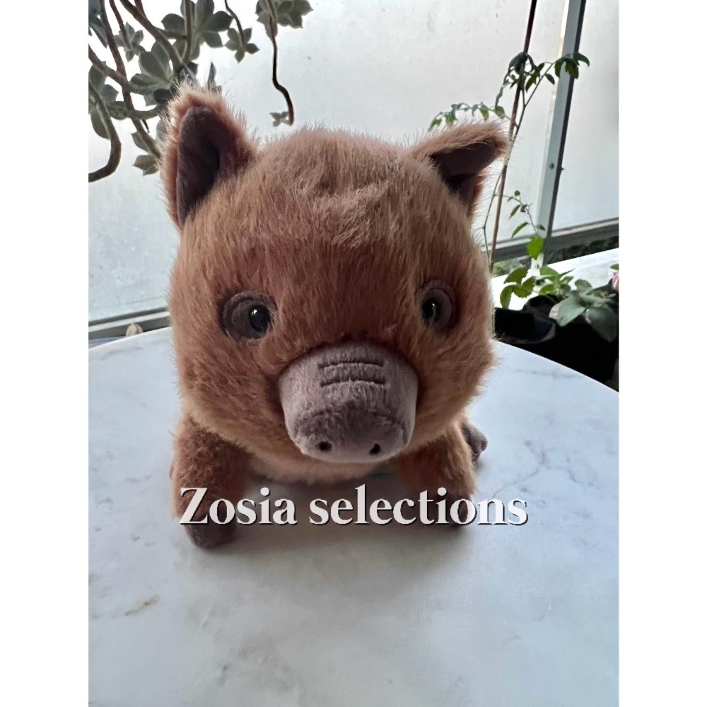 🇫🇷法國直送 Jellycat 野豬 Swinley Boar 山豬 豬娃娃-細節圖3