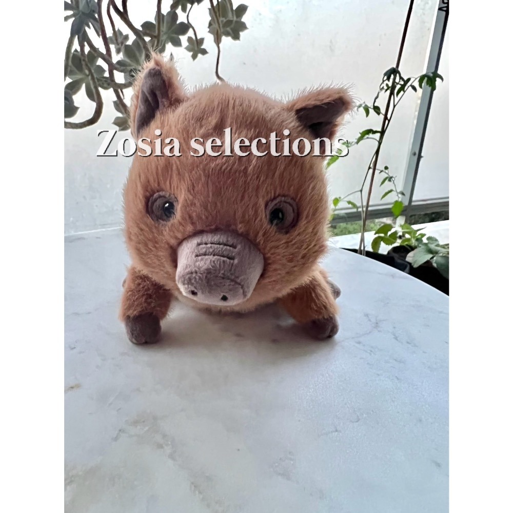 🇫🇷法國直送 Jellycat 野豬 Swinley Boar 山豬 豬娃娃-細節圖4