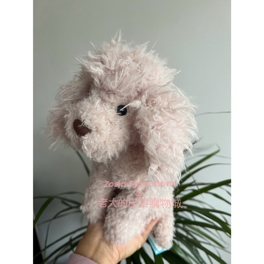 🇫🇷法國直送 Jellycat Georgiana Poodle 貴賓狗 退休款 絕版 娃娃玩偶-細節圖2
