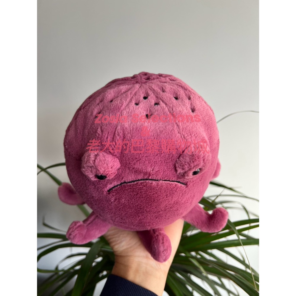 🇫🇷法國直送 Jellycat Ondre Octopus 不開心章魚娃娃 海洋生物 玩偶 絕版 退休款-細節圖4