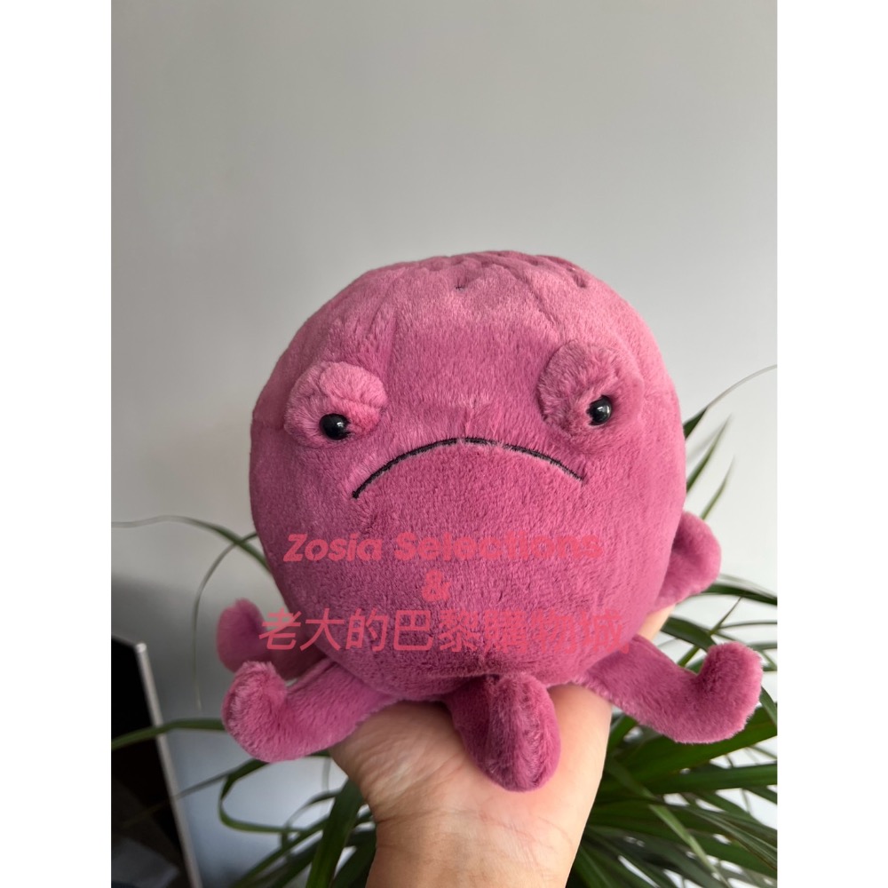 🇫🇷法國直送 Jellycat Ondre Octopus 不開心章魚娃娃 海洋生物 玩偶 絕版 退休款-規格圖5