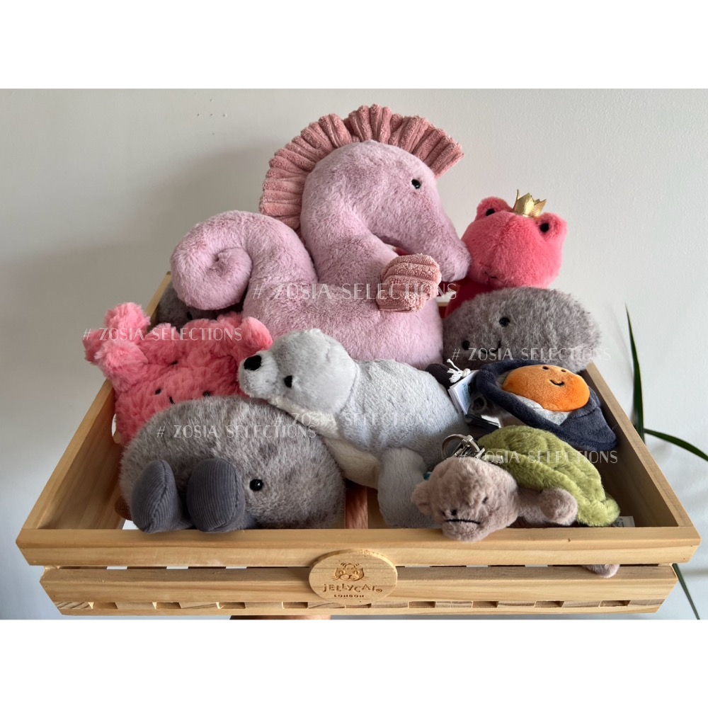 🇫🇷法國直送 Jellycat Skidoodle Seal 小海豹娃娃 灰色小海豹 海洋生物 玩偶 絕版 退休款-細節圖4