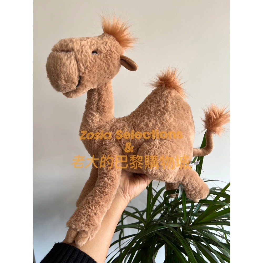 🇫🇷法國直送 Jellycat Richie Dromedary 單峰駱駝 退休款 絕版 娃娃玩偶-細節圖2