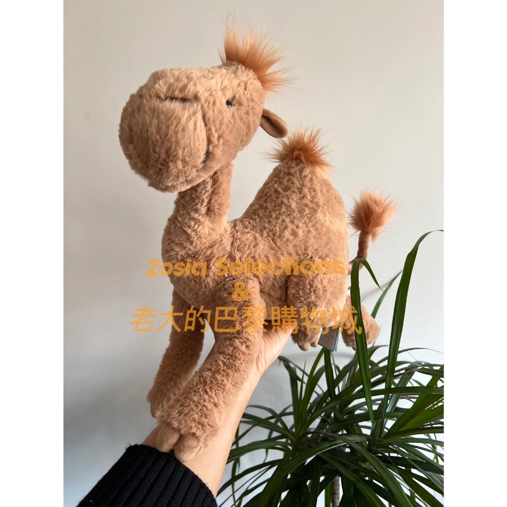🇫🇷法國直送 Jellycat Richie Dromedary 單峰駱駝 退休款 絕版 娃娃玩偶-細節圖3