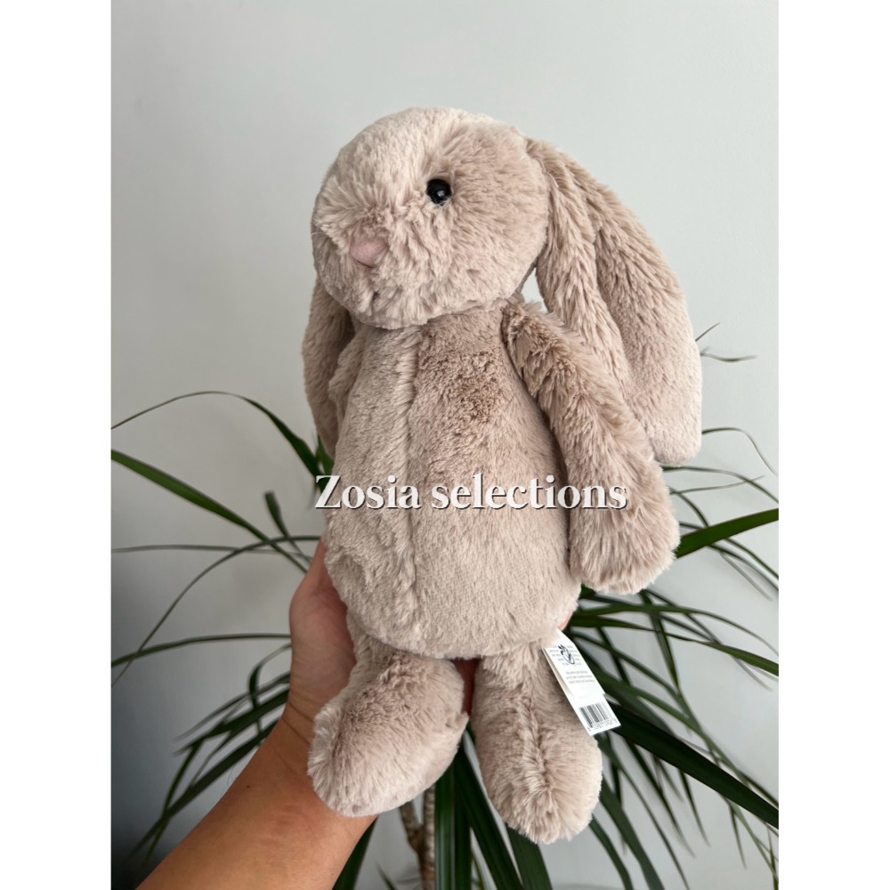 🇫🇷法國直送 Jellycat 經典_杏色奶茶兔 Bashful Beige Bunny 兔子娃娃-規格圖3