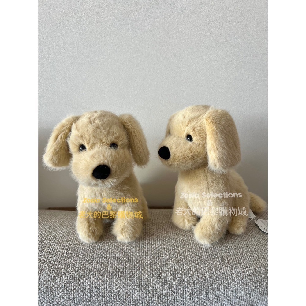 🇫🇷法國直送 Jellycat 黃金獵犬 Golden Puppy 娃娃玩偶 小狗娃娃-細節圖2