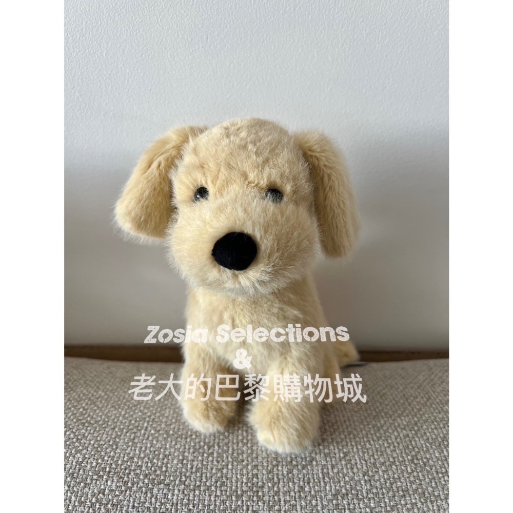 🇫🇷法國直送 Jellycat 黃金獵犬 Golden Puppy 娃娃玩偶 小狗娃娃-細節圖3