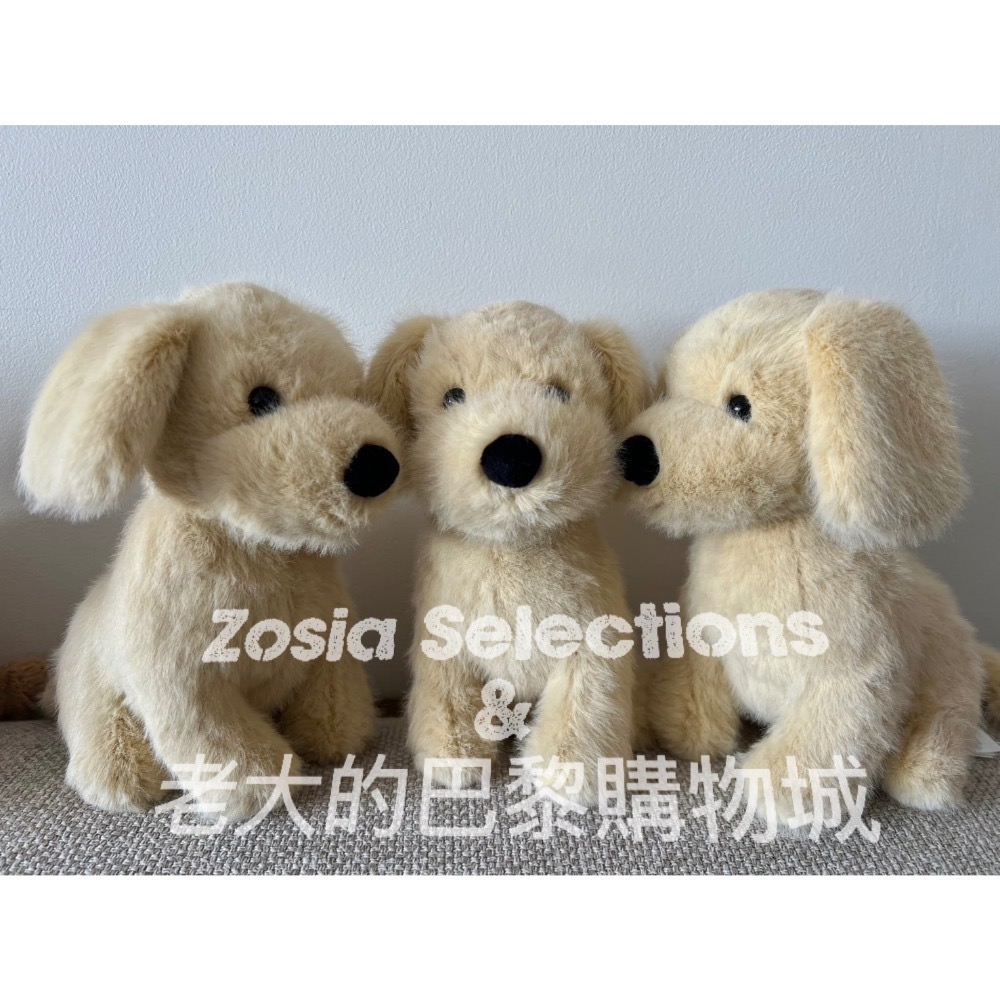 🇫🇷法國直送 Jellycat 黃金獵犬 Golden Puppy 娃娃玩偶 小狗娃娃-細節圖4