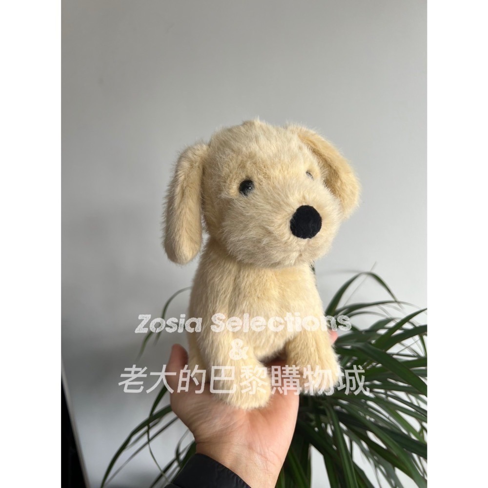 🇫🇷法國直送 Jellycat 黃金獵犬 Golden Puppy 娃娃玩偶 小狗娃娃-細節圖5