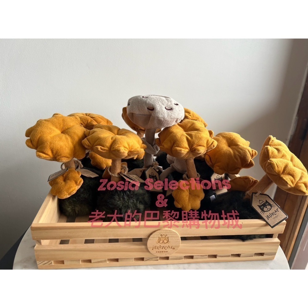 🇫🇷法國直送 Jellycat ✨稀有款 絕版黃色野生蘑菇Chanterelle Mushroom退休款  玩偶-細節圖2