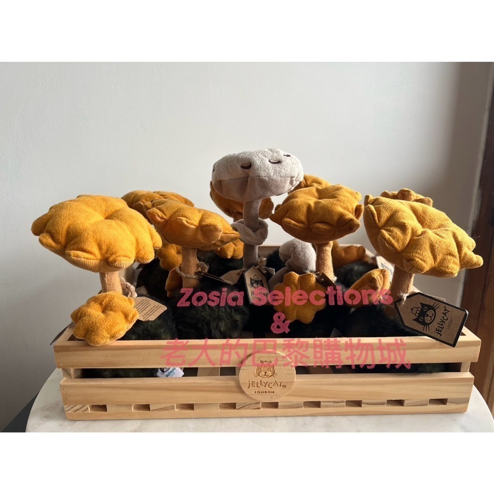 🇫🇷法國直送 Jellycat ✨稀有款 絕版黃色野生蘑菇Chanterelle Mushroom退休款  玩偶-細節圖5