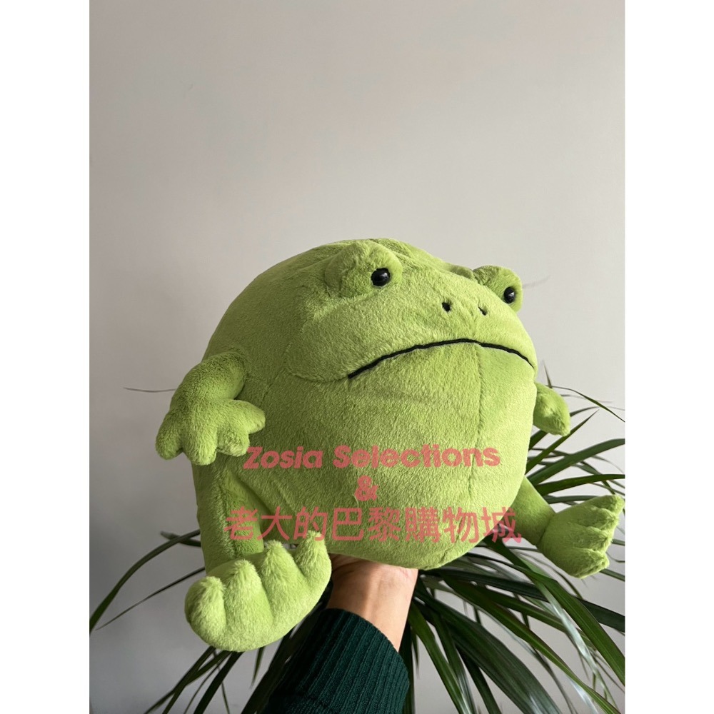 🇫🇷法國直送 Jellycat 雨蛙 桑心雨蛙 Ricky Rain Frog 娃娃玩偶-細節圖2