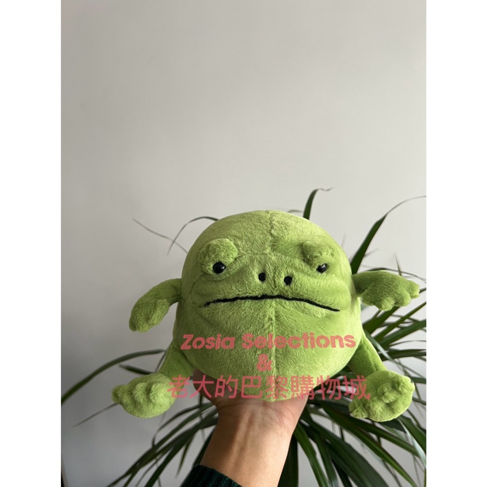 🇫🇷法國直送 Jellycat 雨蛙 桑心雨蛙 Ricky Rain Frog 娃娃玩偶-細節圖3