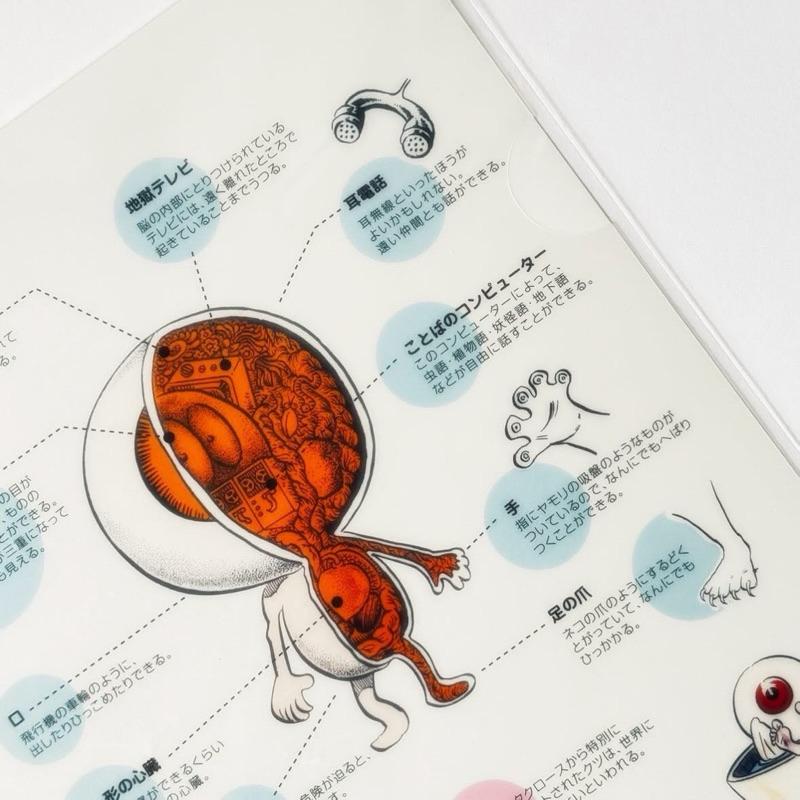 妖怪舎｜𝗬𝗼𝗸𝗮𝗶𝘀𝗵𝗮 ゲゲゲの鬼太郎 クリアファイル 目玉おやじのひみつ 目玉親父的秘密 身體解說 資料夾 眼球老爹-細節圖5