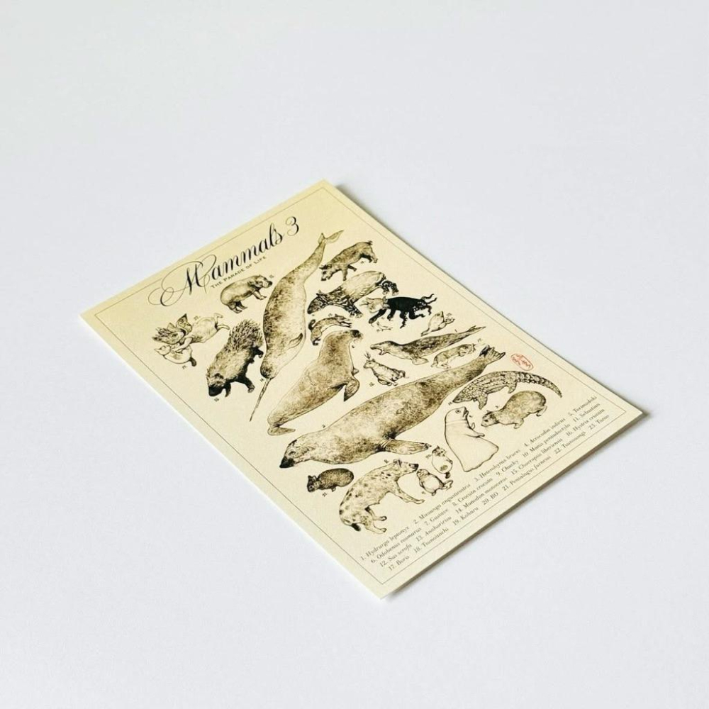 ヒグチユウコ｜𝗛𝗶𝗴𝘂𝗰𝗵𝗶 𝗬𝘂𝗸𝗼 大哺乳類展𝟯 ポストカード 樋口裕子 明信片 哺乳類圖鑑 𝗚𝗨𝗦𝗧𝗔𝗩𝗘君 小春-細節圖2
