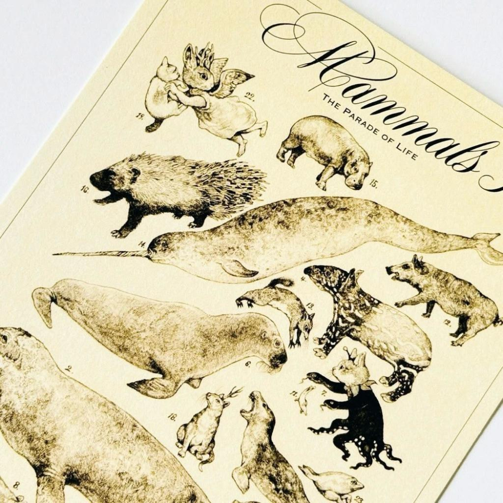 ヒグチユウコ｜𝗛𝗶𝗴𝘂𝗰𝗵𝗶 𝗬𝘂𝗸𝗼 大哺乳類展𝟯 ポストカード 樋口裕子 明信片 哺乳類圖鑑 𝗚𝗨𝗦𝗧𝗔𝗩𝗘君 小春-細節圖3