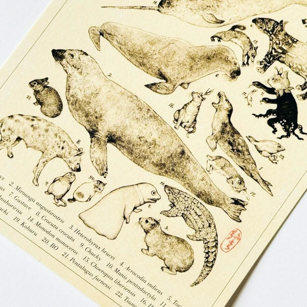 ヒグチユウコ｜𝗛𝗶𝗴𝘂𝗰𝗵𝗶 𝗬𝘂𝗸𝗼 大哺乳類展𝟯 ポストカード 樋口裕子 明信片 哺乳類圖鑑 𝗚𝗨𝗦𝗧𝗔𝗩𝗘君 小春-細節圖4